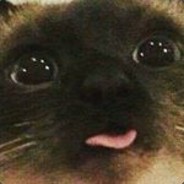 นที วิสุทธิ์