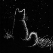 พิชชา จันทร์เพ็ญ